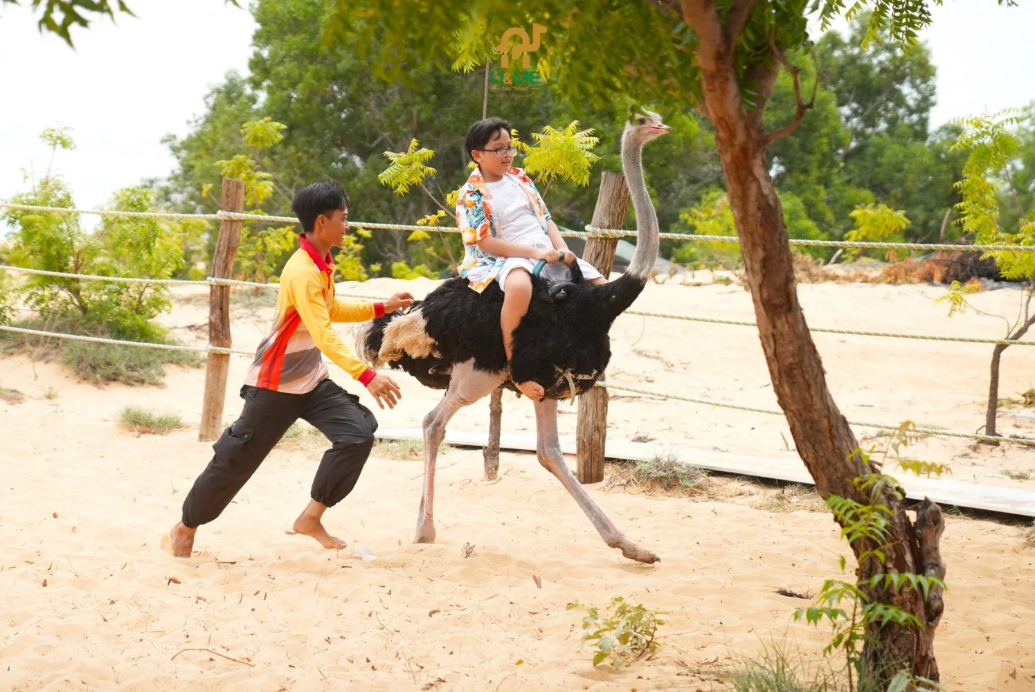 Suối Tiên Mũi Né: Vị trí, sức hút, kinh nghiệm du lịch & đơn vị uy tín