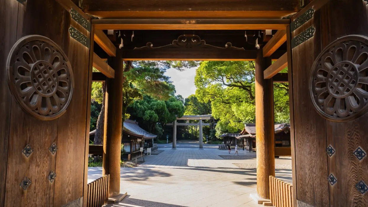 su-quyen-ru-cua-mua-thu-tai-khu-vuc-meiji-jingu-gaien