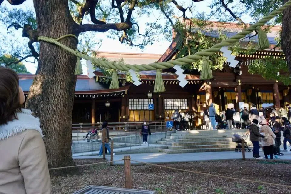mua-xuan-tai-den-meiji-jingu