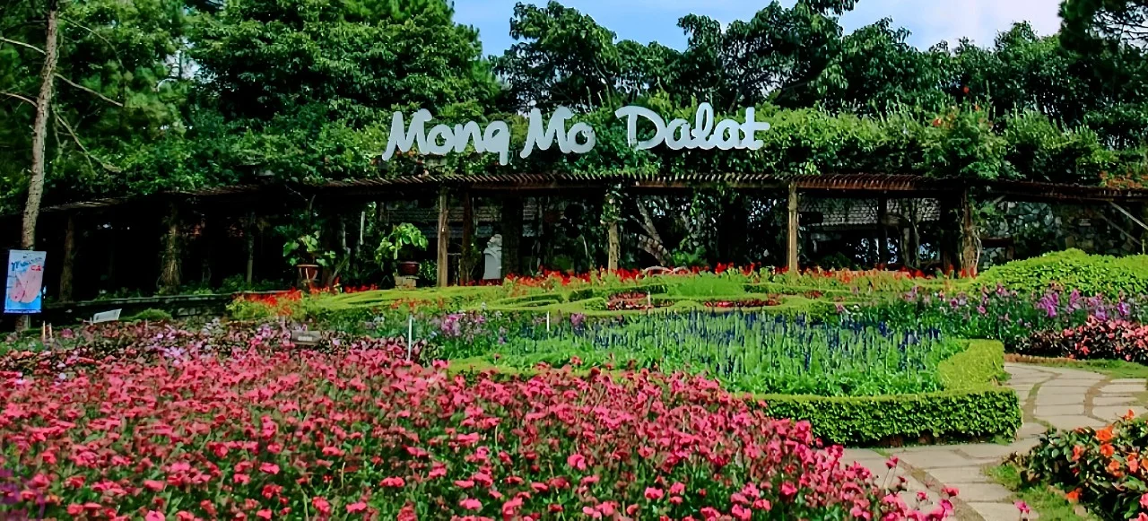 Tour Nha Trang - Đà Lạt 4 ngày 3 đêm: Lịch trình, điểm nổi bật, giá bán, kinh nghiệm du lịch & đơn vị uy tín giá rẻ