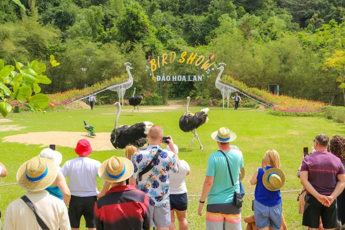 du-khach-tham-quan-dao-hoa-lan