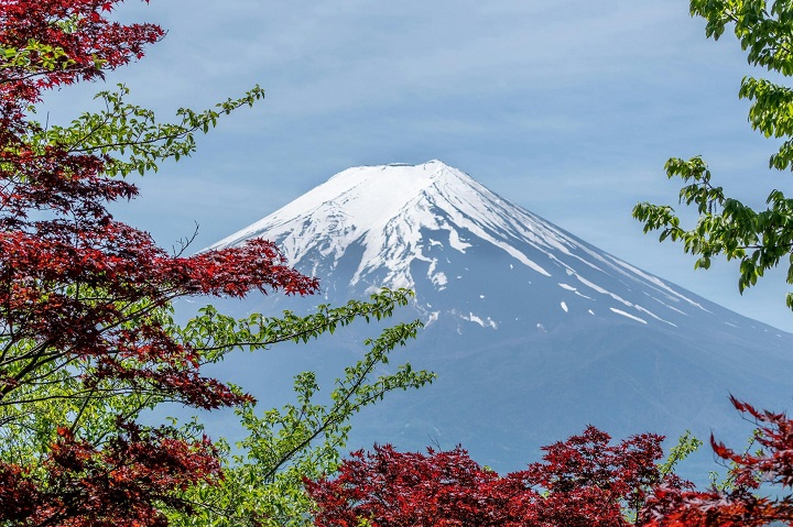Du Lịch Tokyo: Thời điểm đẹp, Tổng hợp địa danh, Ẩm thực, Mua sắm, Kinh nghiệm và Gợi ý đại lý uy tín