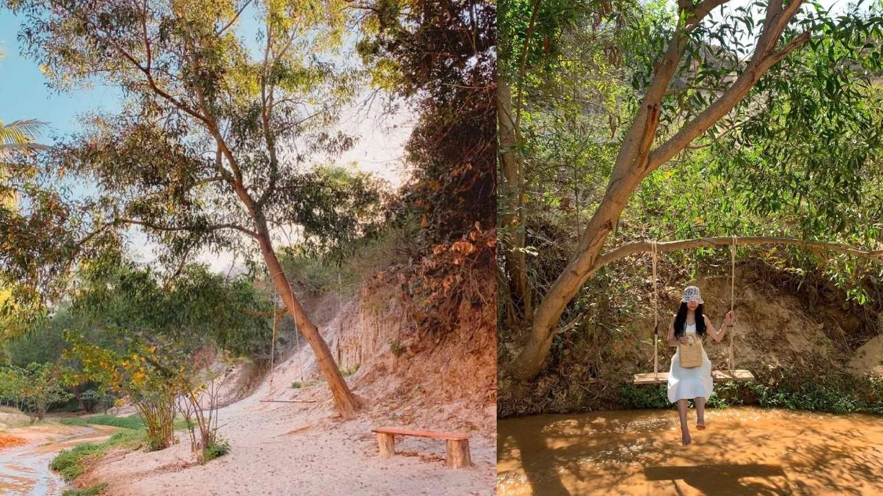 Suối Tiên Mũi Né: Vị trí, sức hút, kinh nghiệm du lịch & đơn vị uy tín