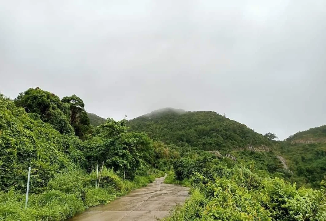 duong-xuyen-dao-hon-son-1