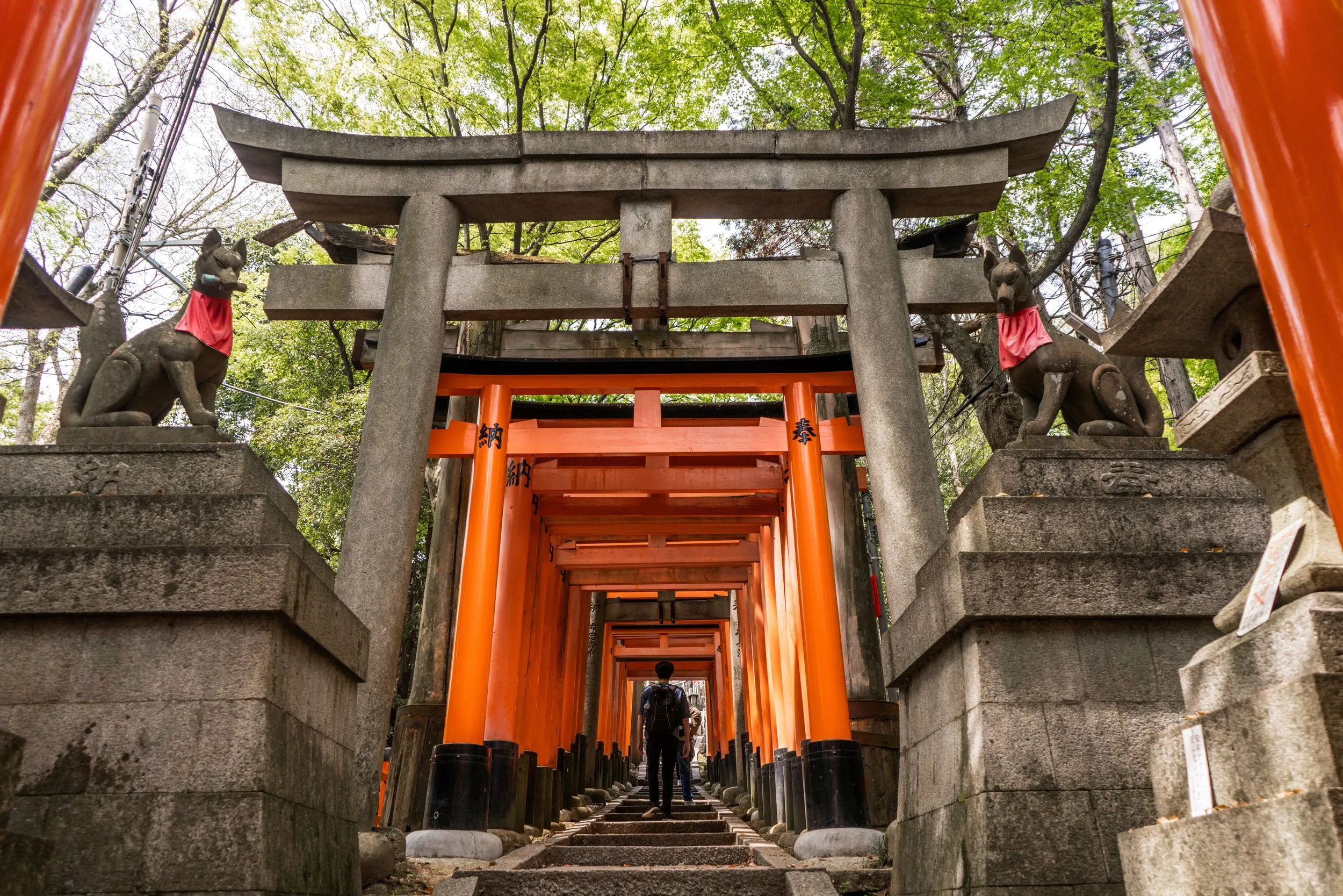 fushimi-inari-taisha-5