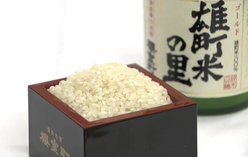 Bảo tàng rượu Sake Hakutsuru: Vị Trí, Sức Hút, Điểm Tham Quan & Kinh Nghiệm Cần Biết