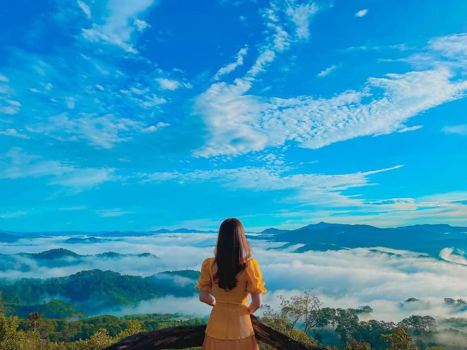 green-hill-doi-robin