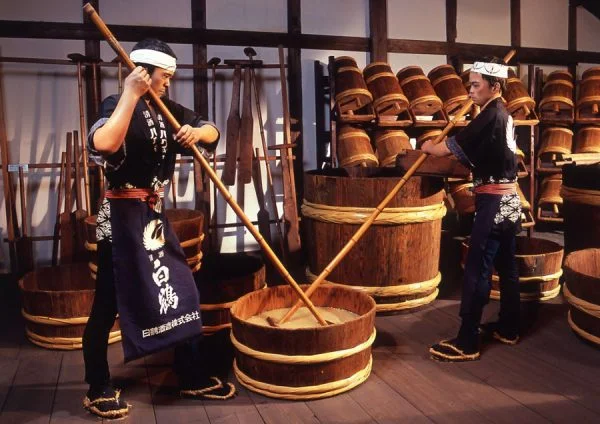 Bảo tàng rượu Sake Hakutsuru: Vị Trí, Sức Hút, Điểm Tham Quan & Kinh Nghiệm Cần Biết