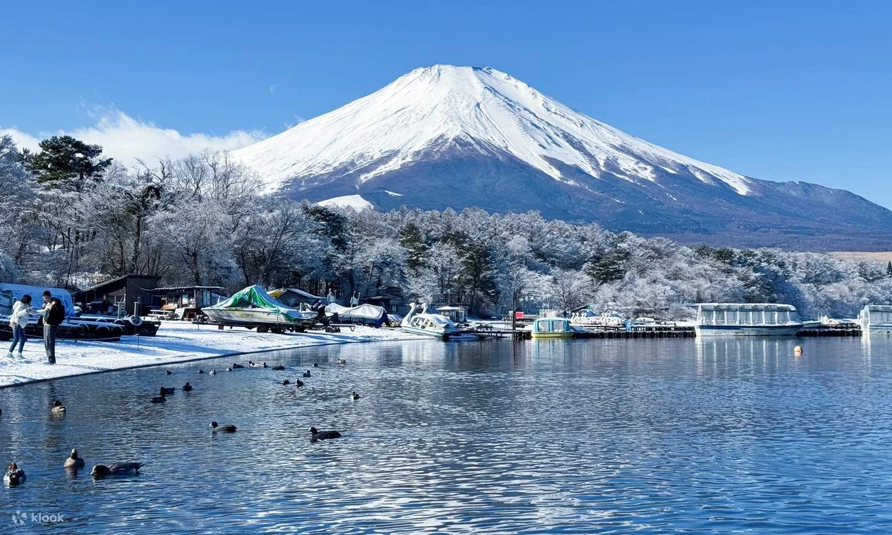 ho-kawaguchiko-mua-dong-1