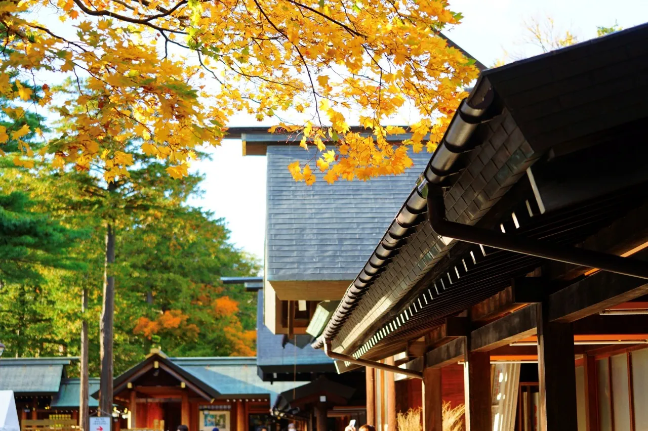 canh-quan-thien-nhien