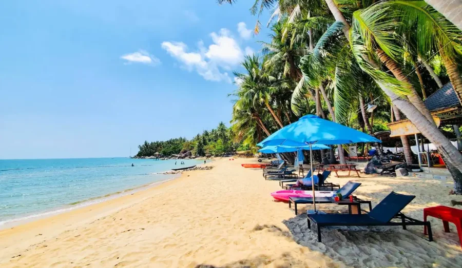 Tour Hòn Sơn 2 ngày 1 đêm: Lịch trình, điểm nổi bật, giá bán, kinh nghiệm du lịch & đơn vị uy tín