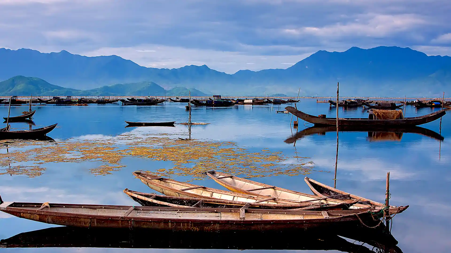 Tour Đà Nẵng – Huế - Phong Nha 3 ngày 2 đêm: Lịch trình, điểm nổi bật, giá bán, kinh nghiệm du lịch & đơn vị uy tín giá rẻ