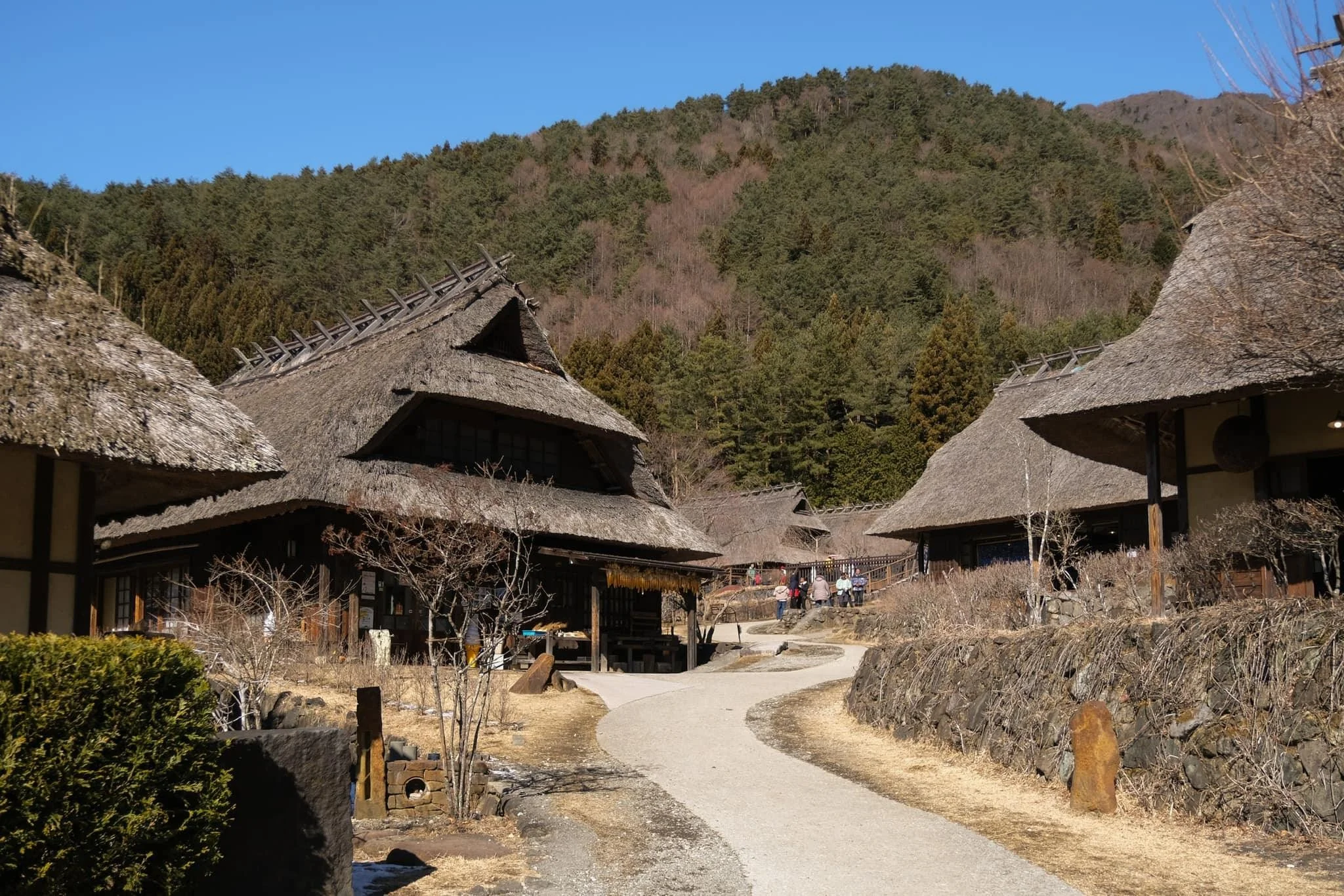 Hồ Kawaguchiko: Vị Trí, Sức Hút, Thời Điểm Lý Tưởng & Kinh Nghiệm Cần Biết