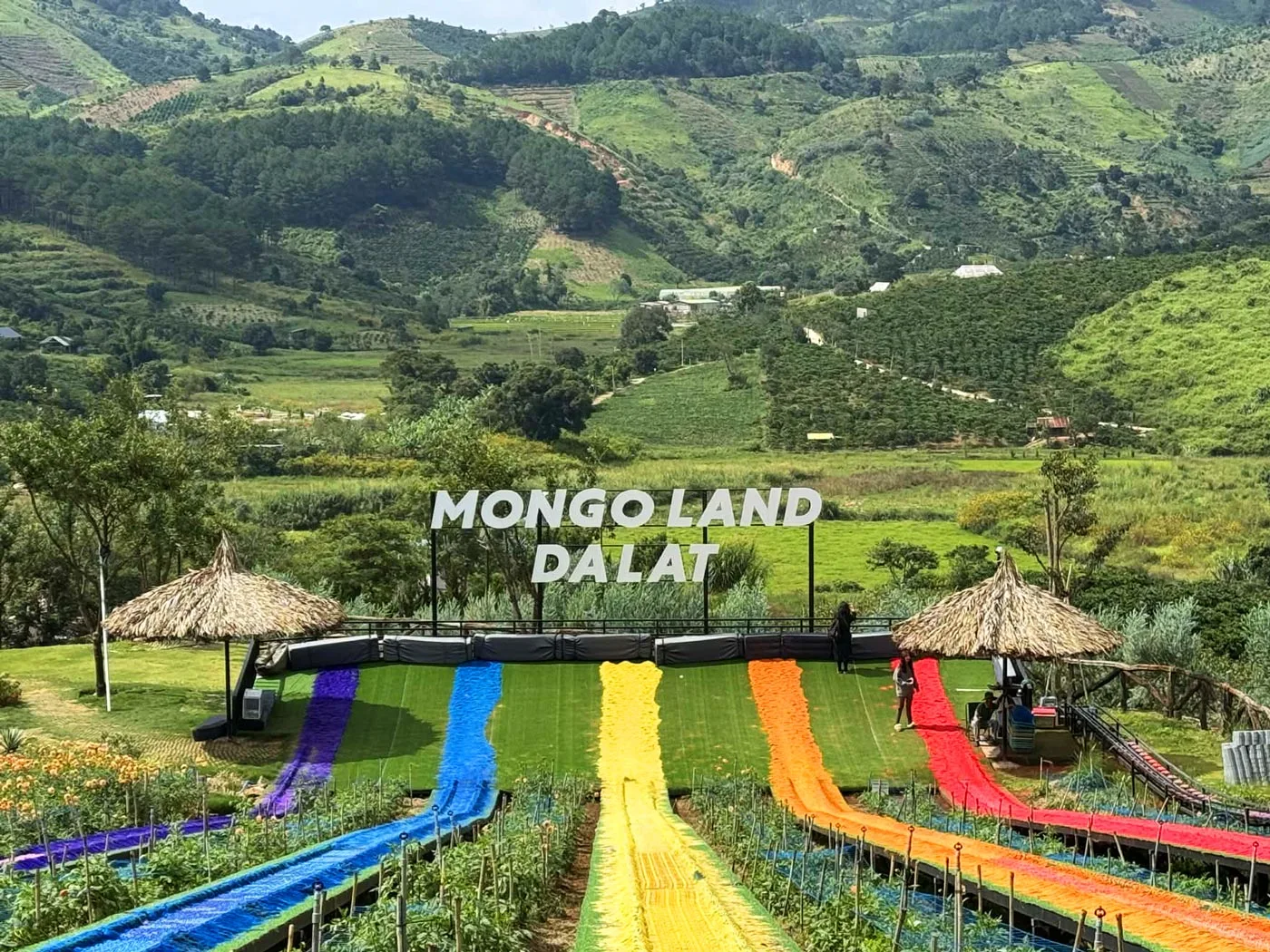 Tour Đà Lạt 3 ngày 2 đêm – Check in điểm mới Đà Lạt – Tea Prenn