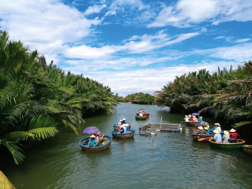 rung-dua-bay-mau-2-1