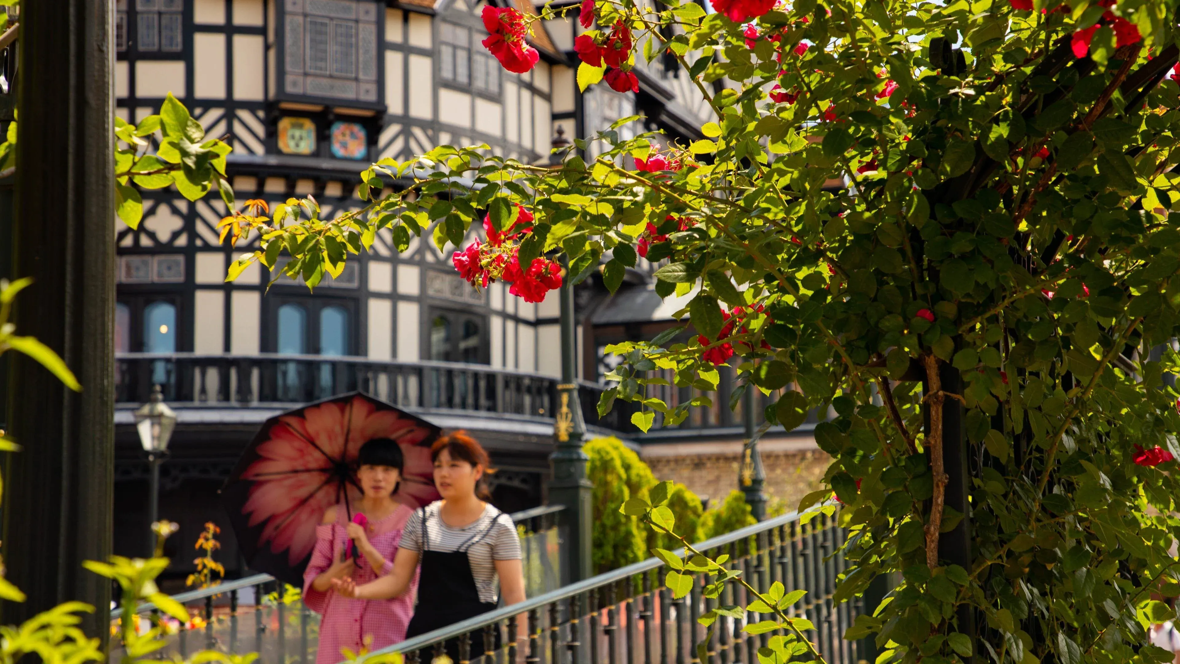 kinh-nghiem-du-lich-hokkaido-va-tham-quan-shiroi-koibito-park