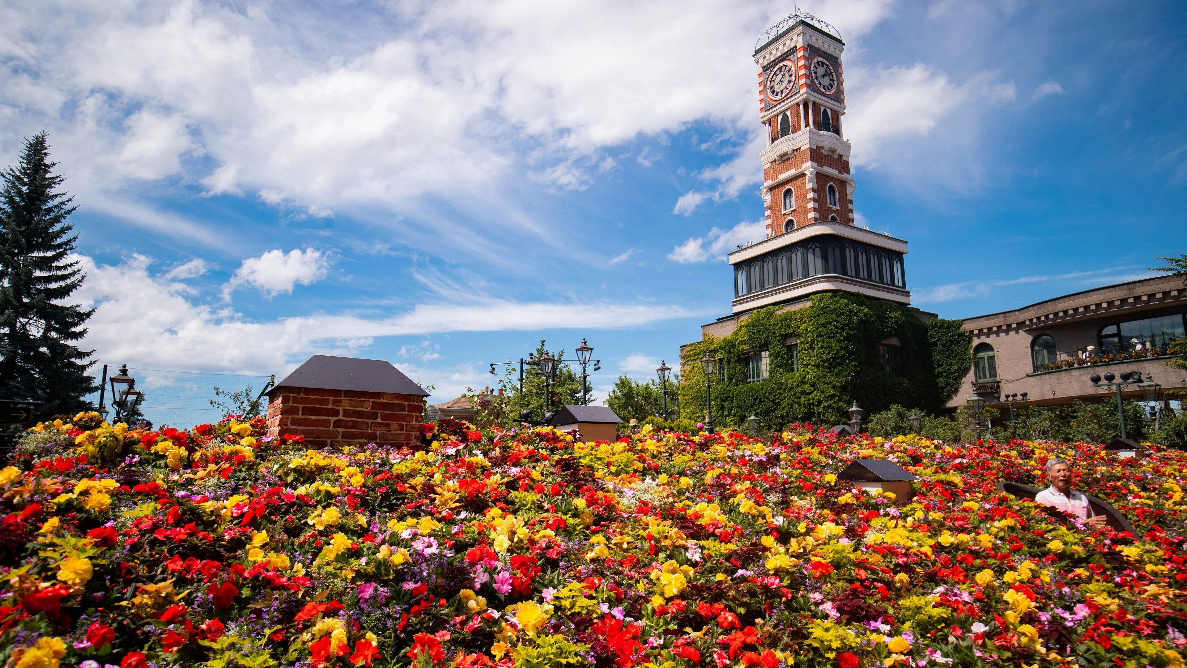 mua-xuan-va-mua-he-tai-vuon-hong-rose-garden