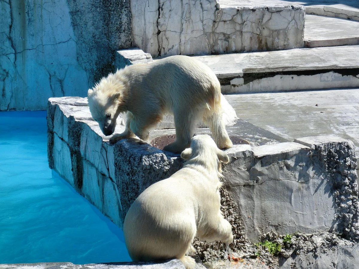 so-thu-maruyama-sapporo