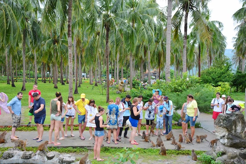 Tour Đảo Khỉ Đảo Hoa Lan: Lịch trình, điểm nổi bật, giá bán, kinh nghiệm du lịch & đơn vị uy tín