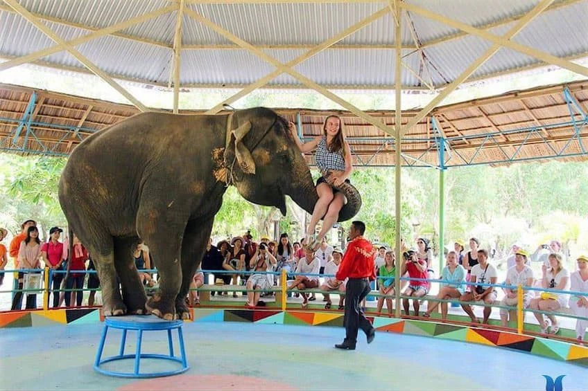 Tour Đảo Khỉ Đảo Hoa Lan: Lịch trình, điểm nổi bật, giá bán, kinh nghiệm du lịch & đơn vị uy tín