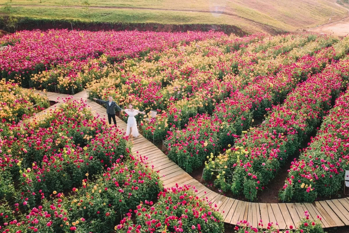 Tour Đà Lạt 4 ngày 3 đêm – Khám phá điểm mới