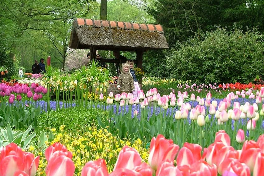 Tour Nha Trang - Đà Lạt 5 ngày 4 đêm