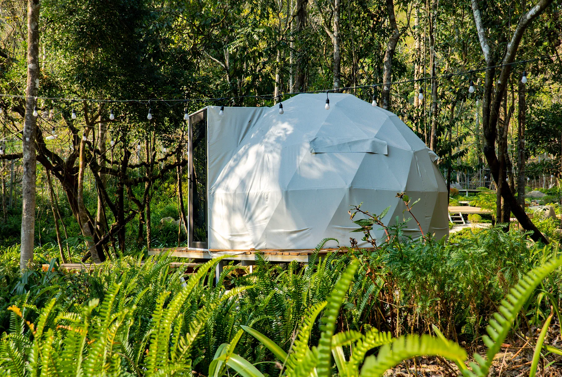 tai-sao-phe-travel-la-don-vi-lu-hanh-uy-tin-nhat-de-dat-tour-va-dich-vu-tai-da-lat