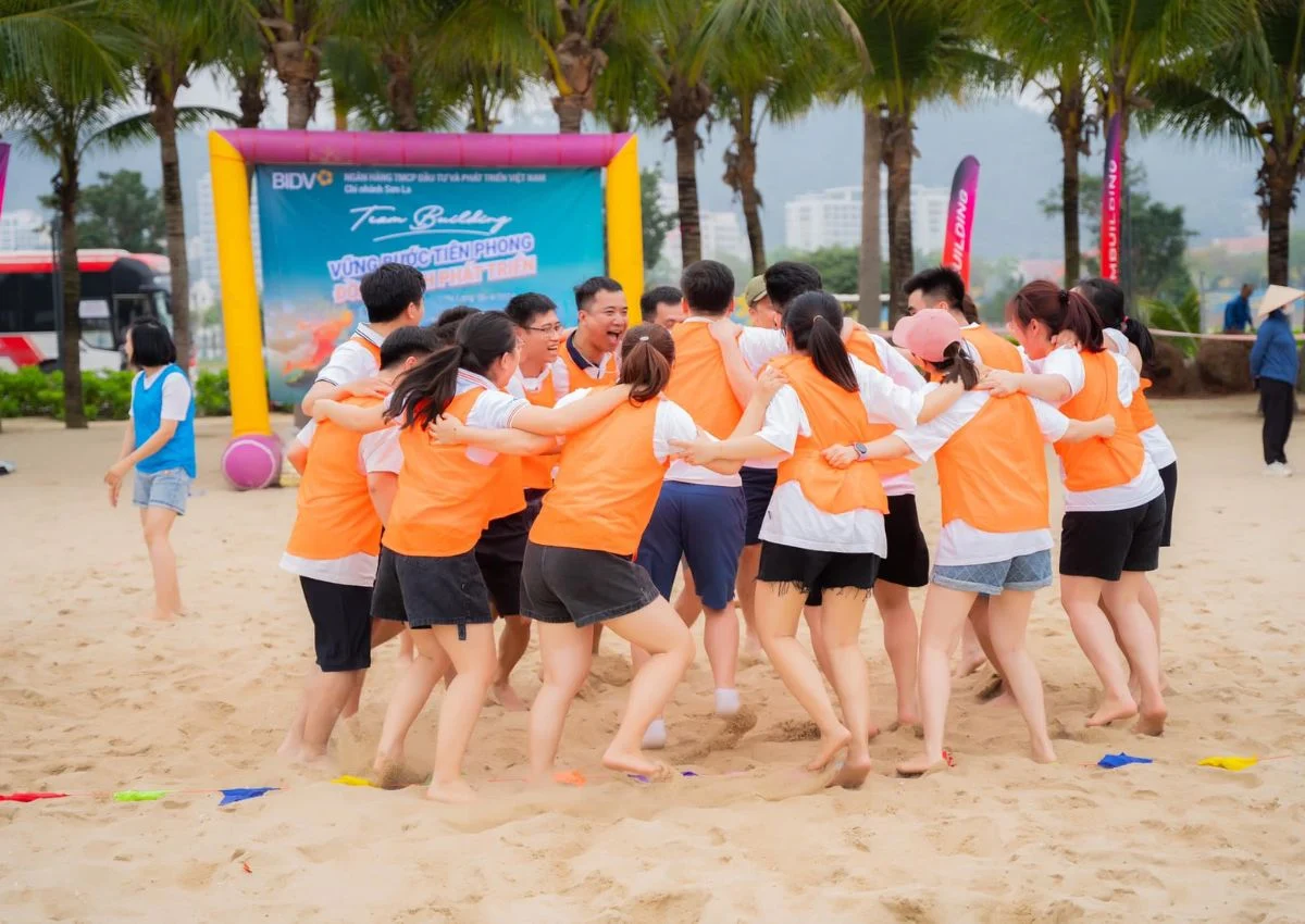 Team building Hạ Long: địa điểm, các hoạt động, chi phí, kinh nghiệm và đơn vị tổ chức