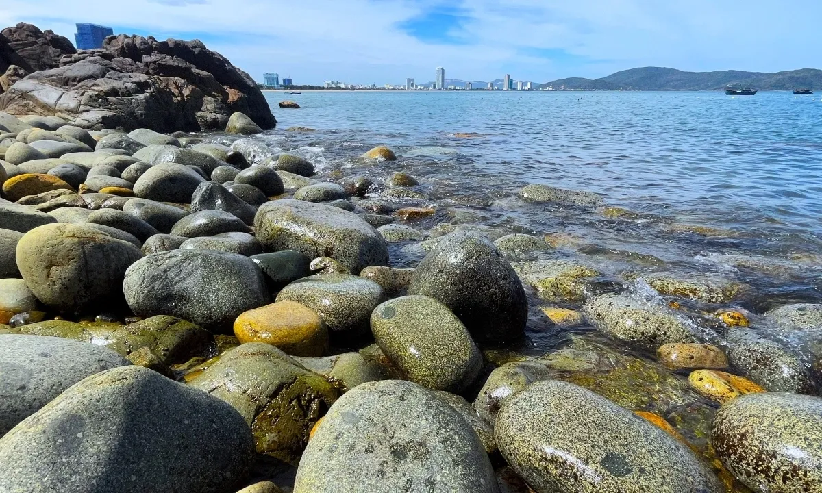 tai-sao-phe-travel-la-don-vi-uy-tin-so-1-to-chuc-tour-tham-quan-bai-da-trung