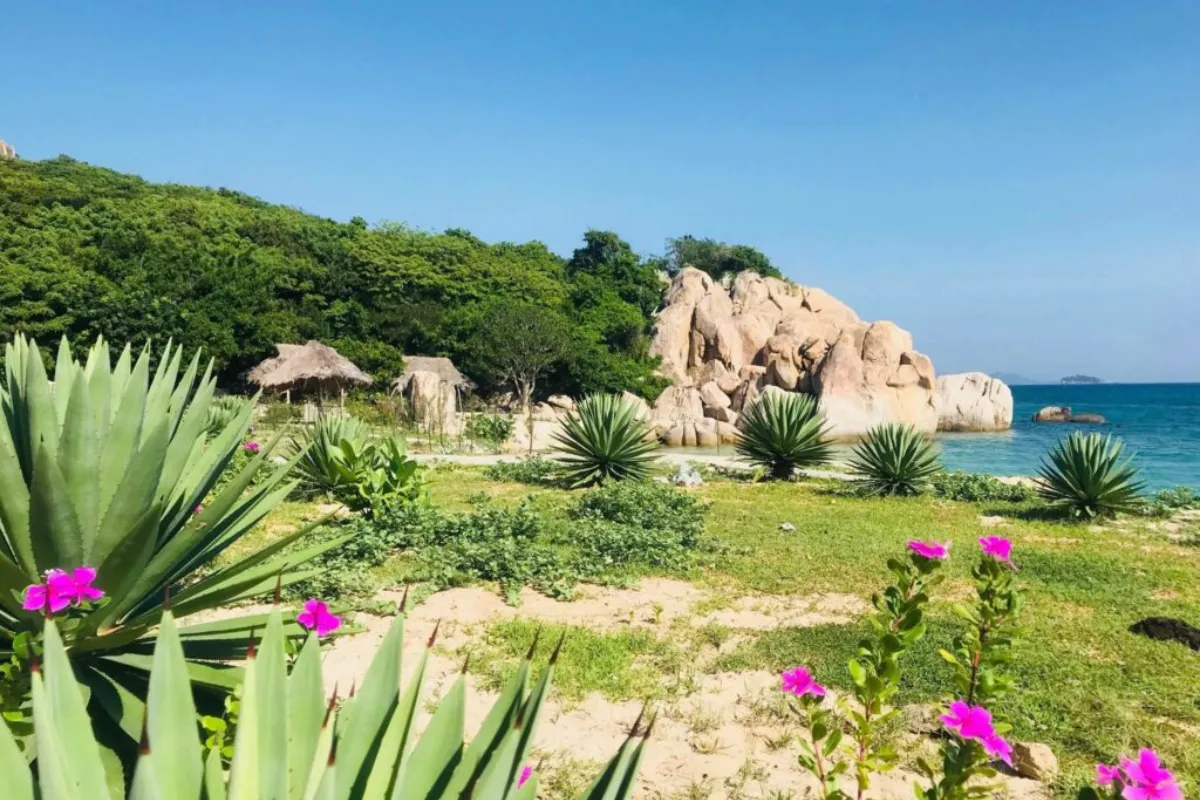 an-gi-o-bai-kinh-goi-y-nhung-mon-ngon-nhat-dinh-phai-thu