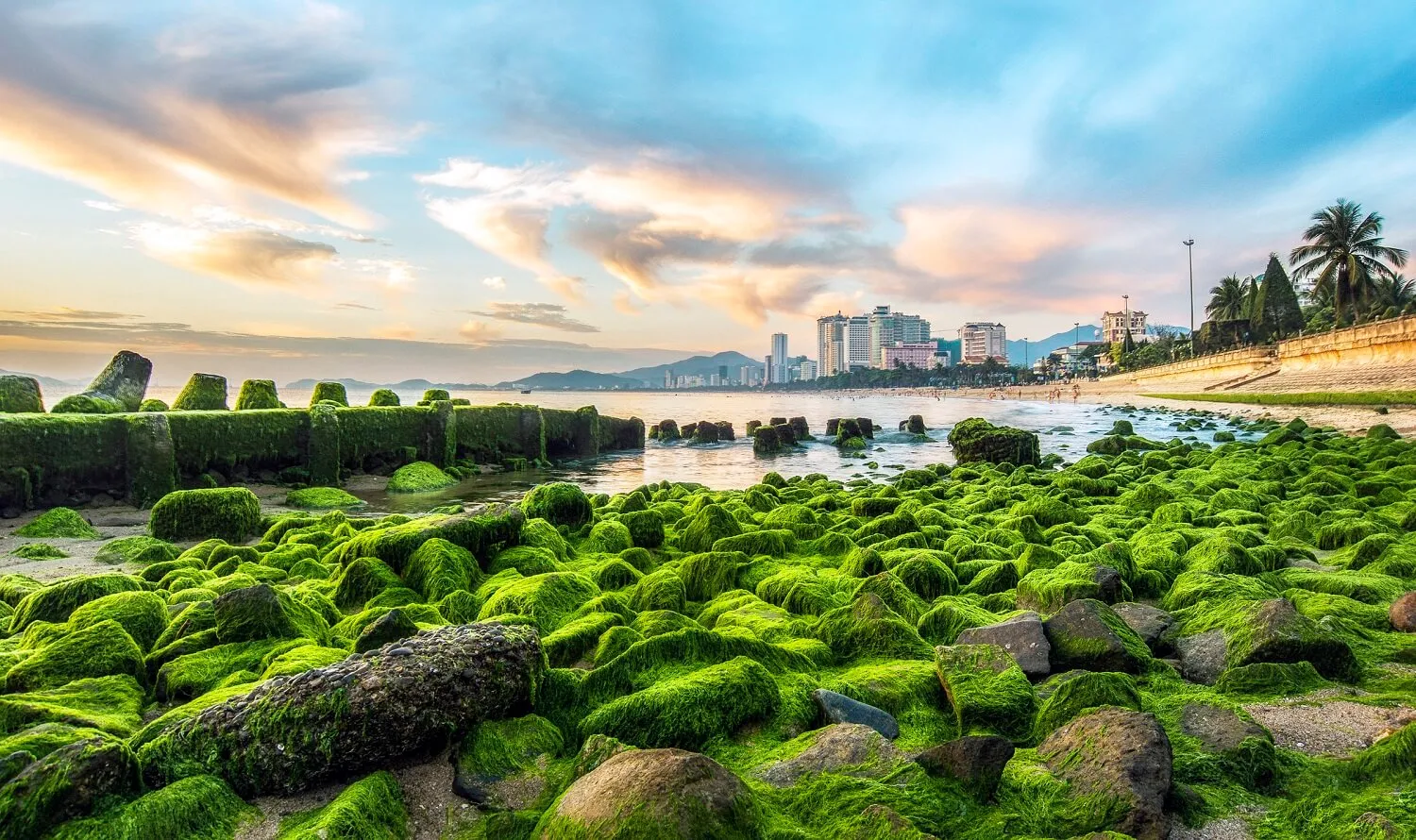 diem-noi-bat-nao-khien-bai-reu-nha-trang-thu-hut-gioi-nhiep-anh