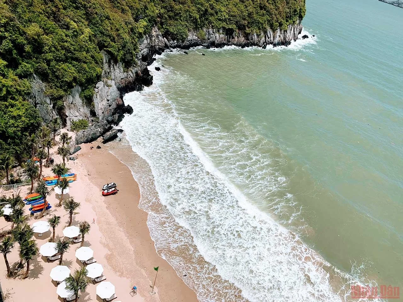 Team building Cát Bà: địa điểm, các hoạt động, chi phí, kinh nghiệm và đơn vị tổ chức