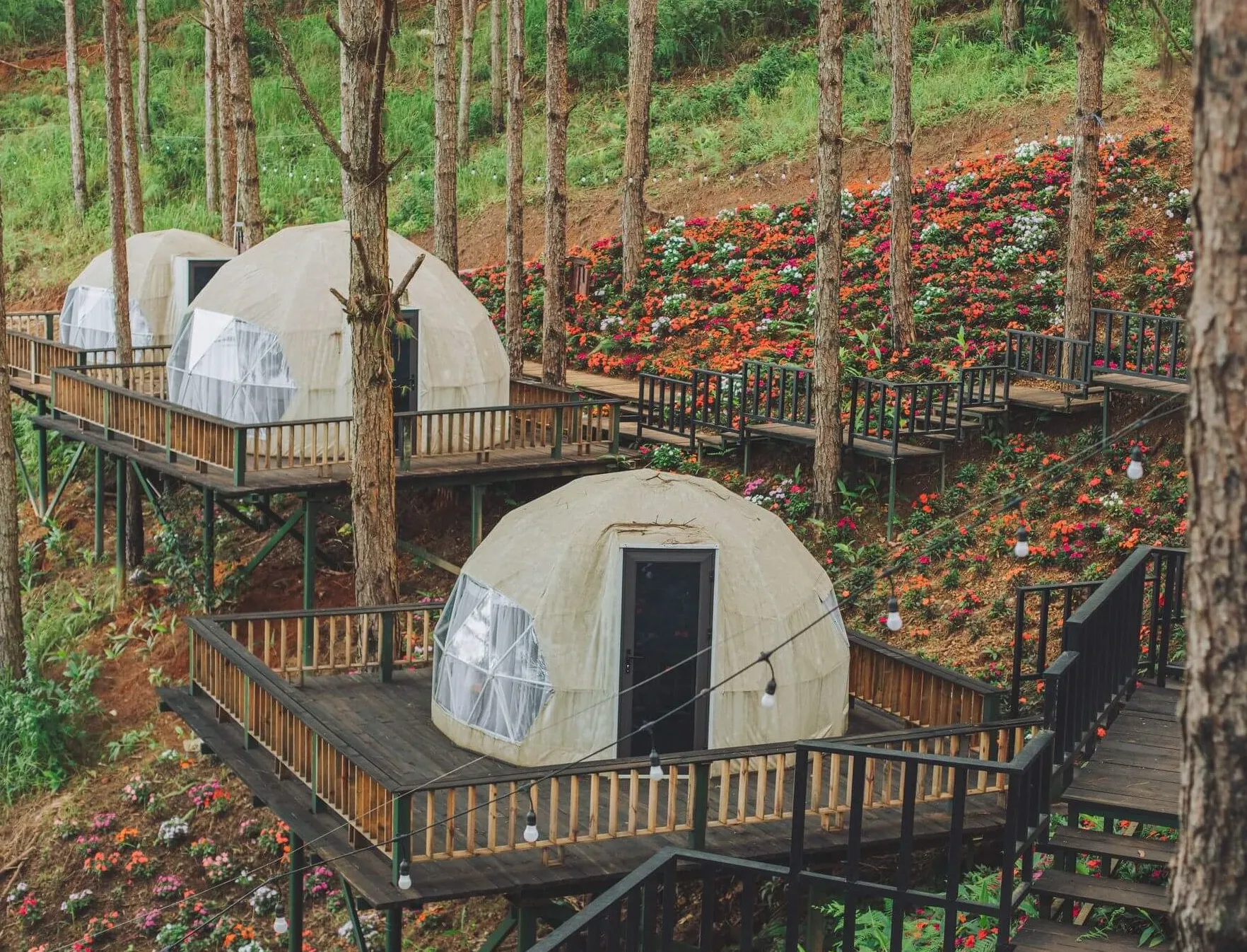 tai-sao-xu-huong-cam-trai-o-da-lat-chuan-glamping-lai-bung-no-manh-me-trong-nam-2026