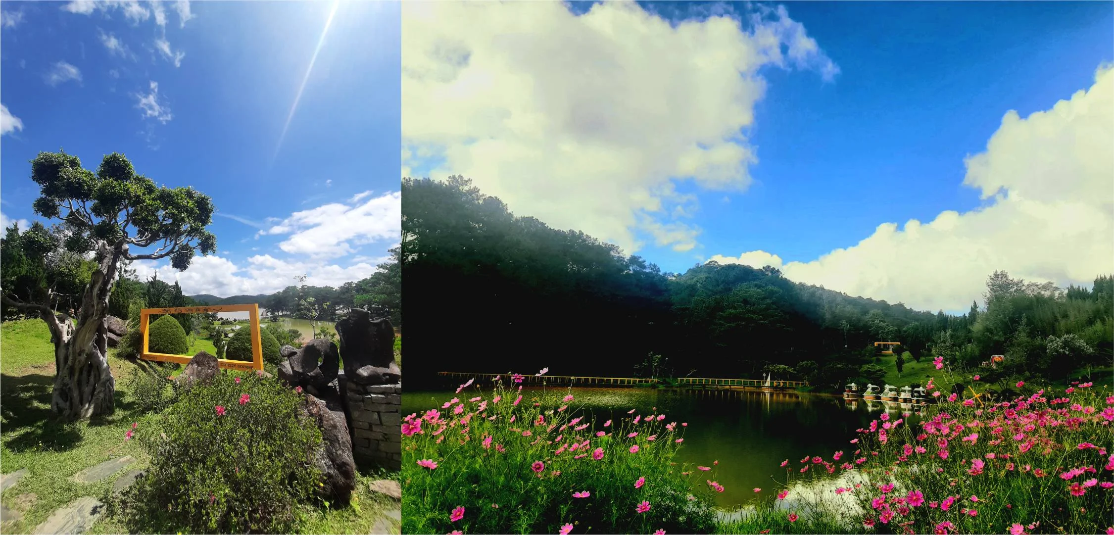 Tour Đà Lạt 4 ngày 3 đêm: Khám phá ngoại thành Dankia – Thung lũng vàng