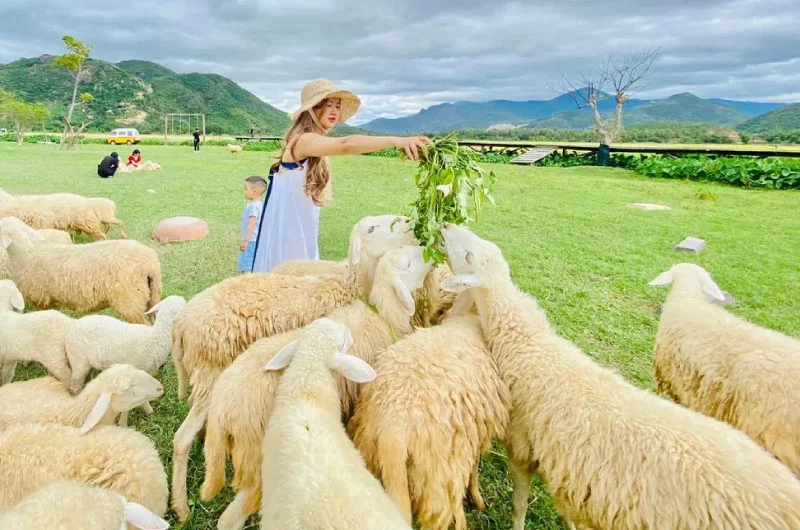 Review Bãi Kinh: Vị trí, giá vé và kinh nghiệm du lịch thực chiến