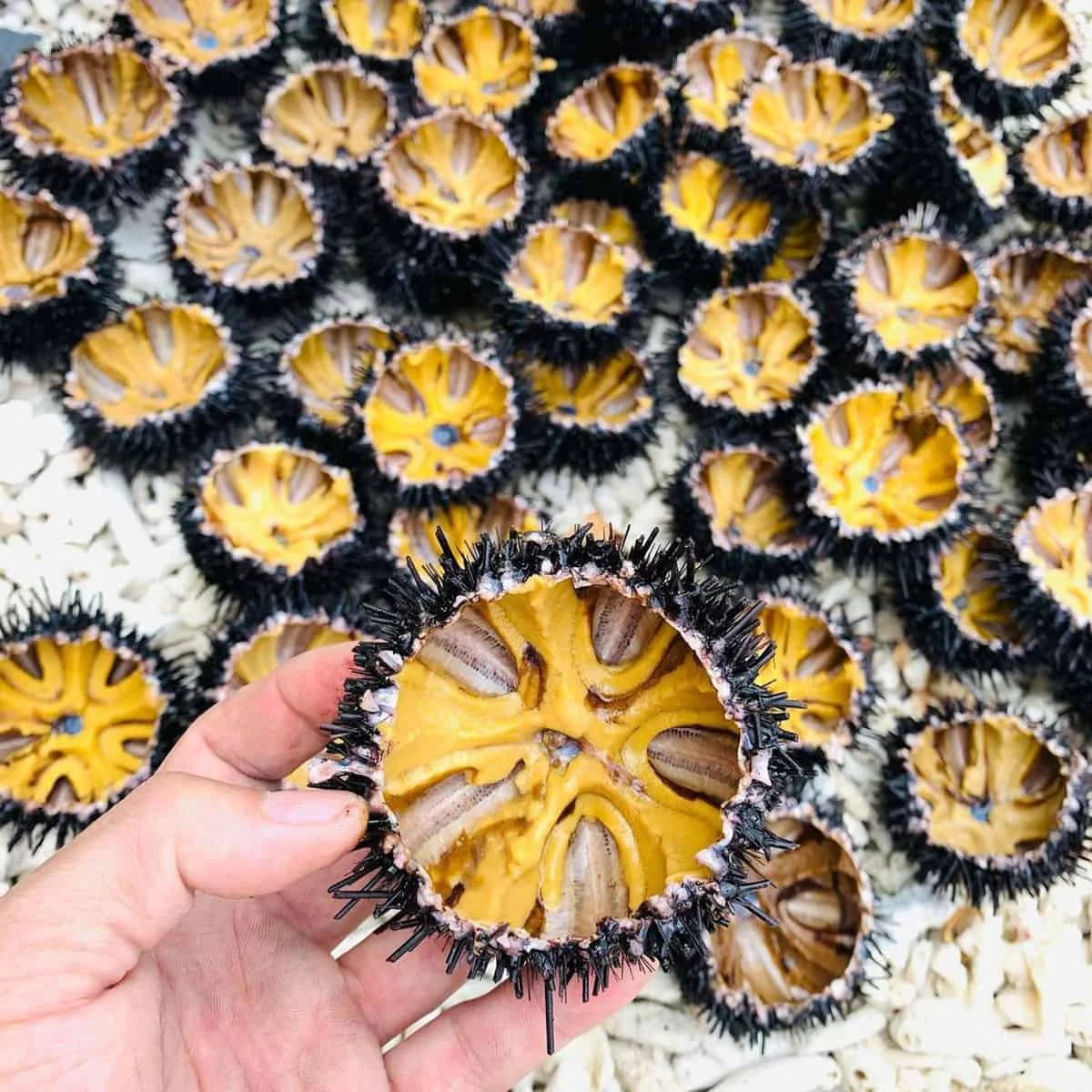 Ăn gì, chơi gì tại Angsana Quan Lạn và các khu vực lân cận