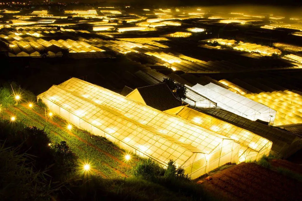 tai-sao-phe-travel-la-don-vi-lu-hanh-uy-tin-nhat-de-dong-hanh-cung-ban