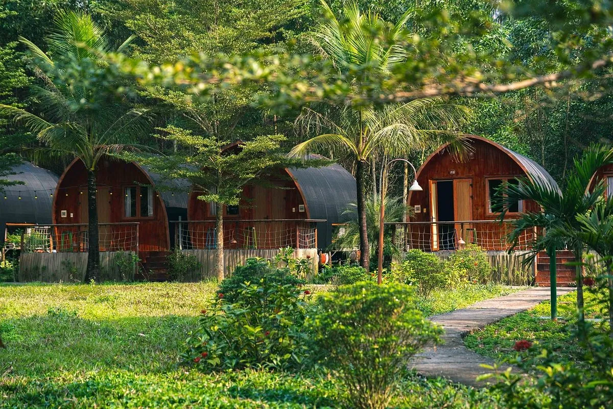 Farmstay Đà Lạt: Điểm nổi bật, Hoạt động, Gợi ý farmstay đẹp & Kinh nghiệm đặt phòng