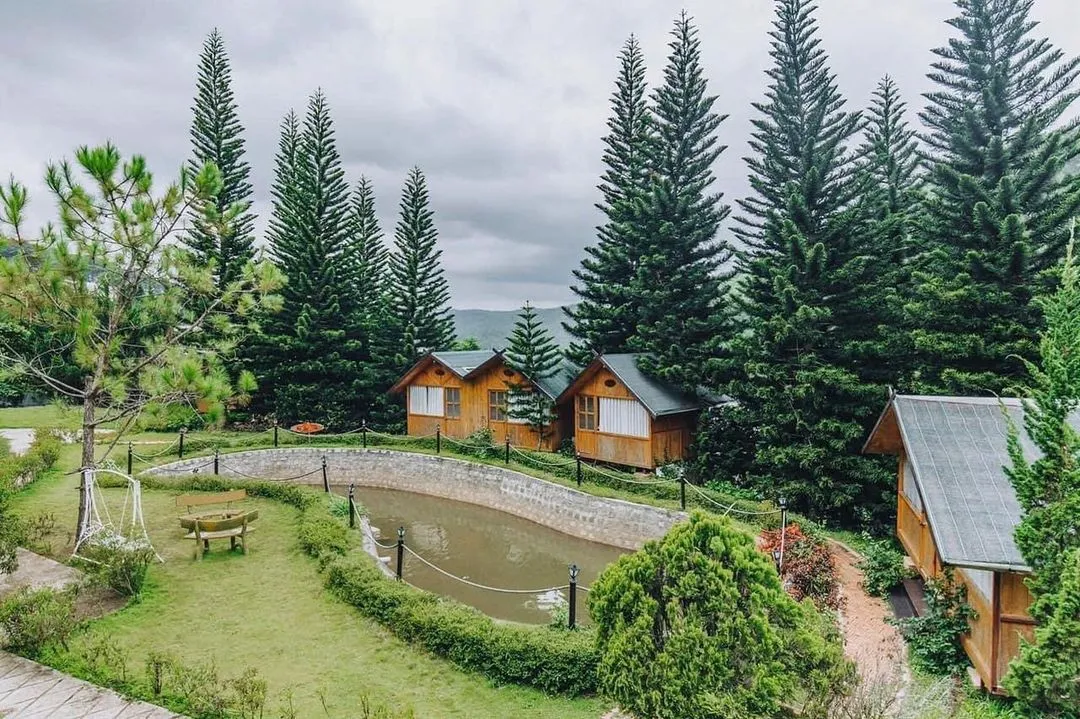 kinh-nghiem-dat-phong-farmstay-da-lat-toi-uu-ngan-sach-va-lich-trinh-la-gi