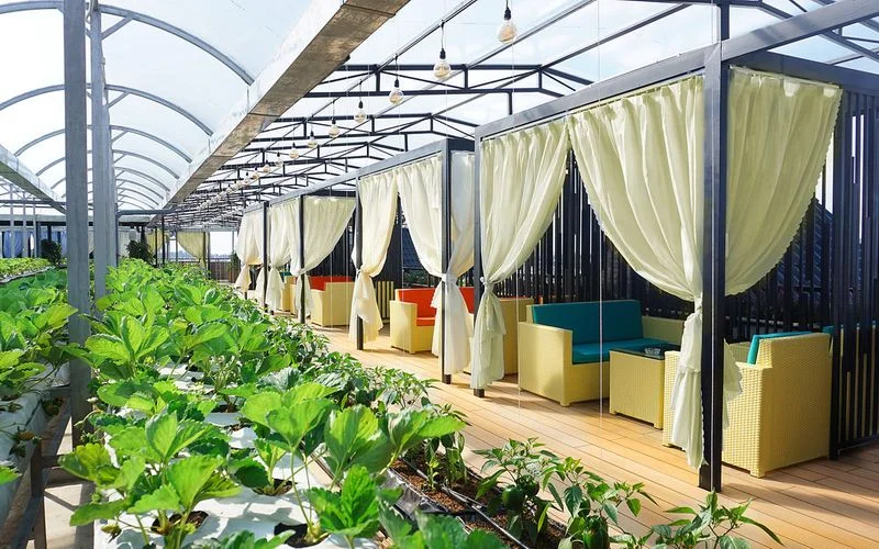 Ăn gì, chơi gì tại Ladalat hotel và các khu vực lân cận