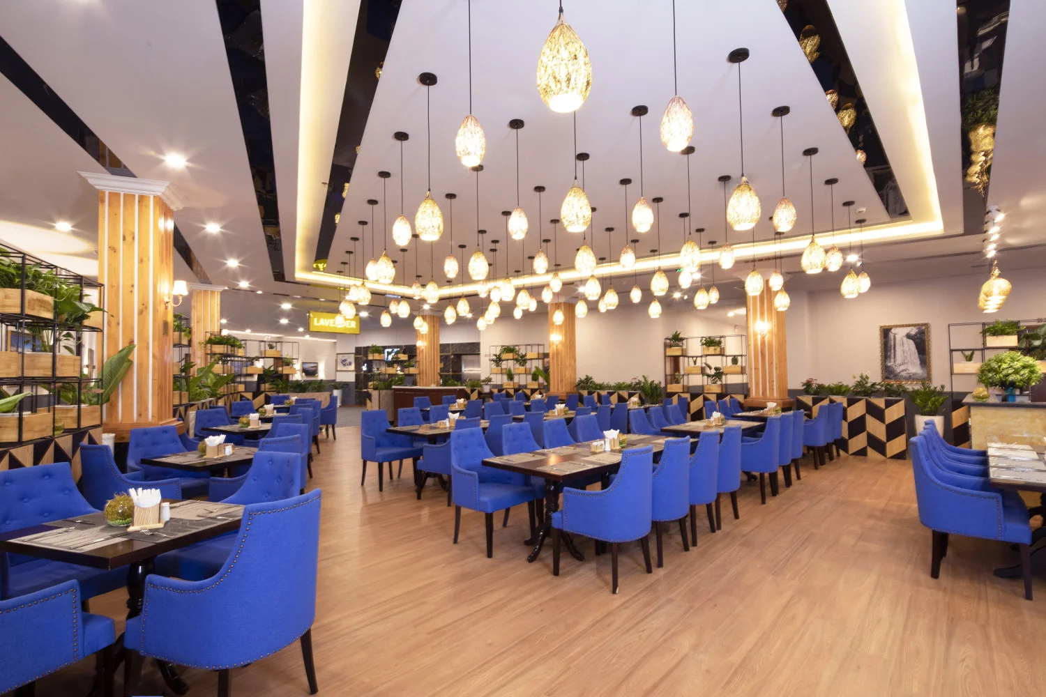 Review chi tiết khu vui chơi trong nhà (Kid's Center) 7.000m2 lớn nhất Đà Lạt của Ladalat hotel