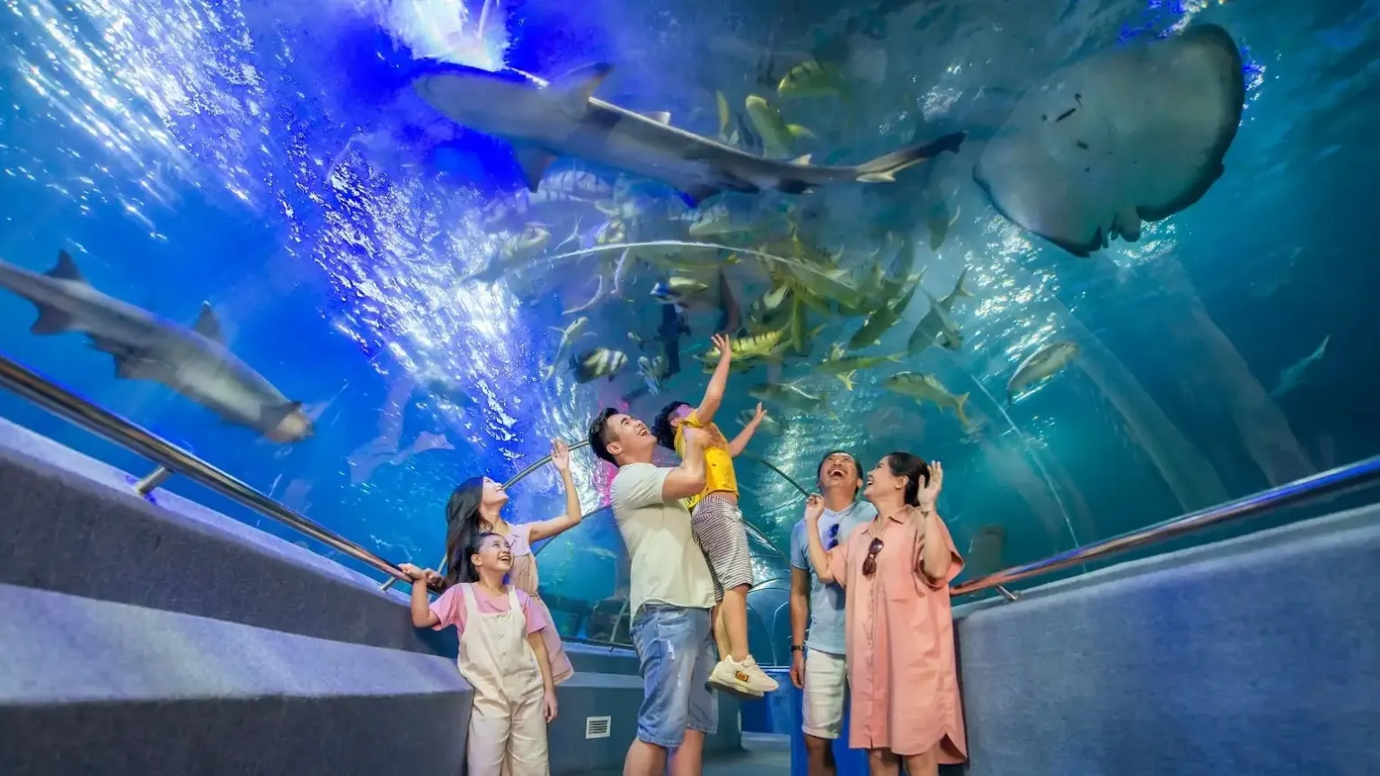 vien-hai-duong-hoc-noi-luu-giu-hang-van-tieu-ban-sinh-vat-bien