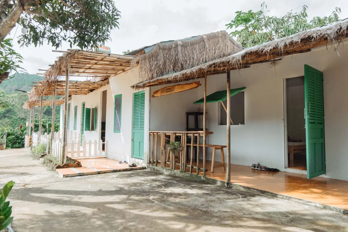 ovi-coffee-farmstay-lam-say-long-gioi-mo-dieu-ca-phe-bang-quy-trinh-rang-xay-nguyen-ban-nao