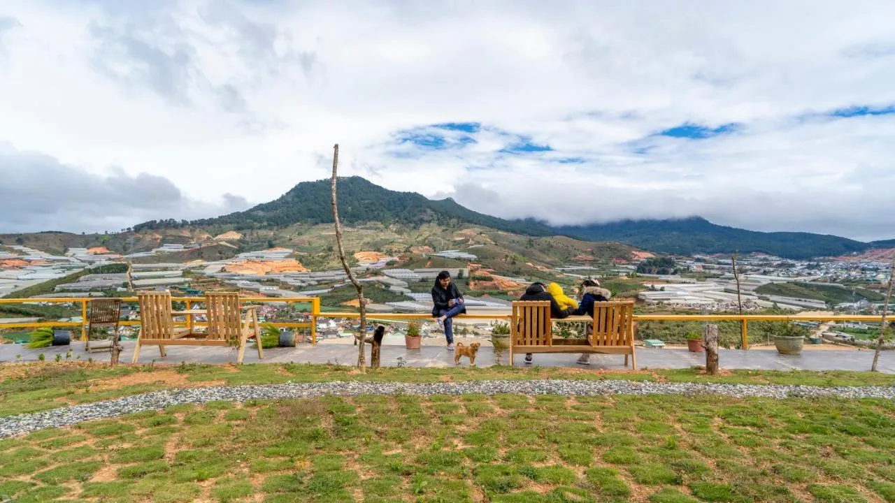 canh-quan-tai-sonder-hills-farmstay-da-lat-thien-duong-san-may-mang-lai-cam-xuc-thi-giac-ngoan-muc-ra-sao