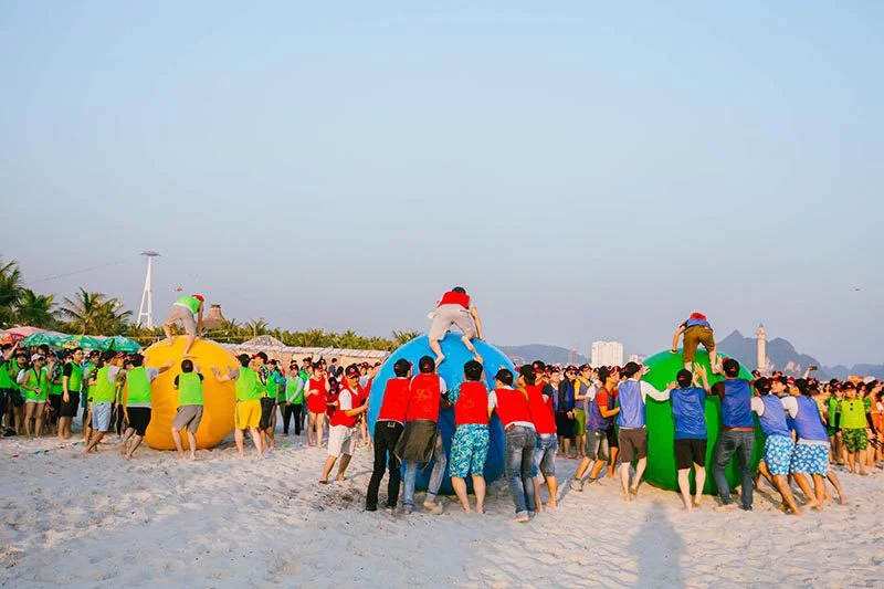 Team building Hạ Long: địa điểm, các hoạt động, chi phí, kinh nghiệm và đơn vị tổ chức