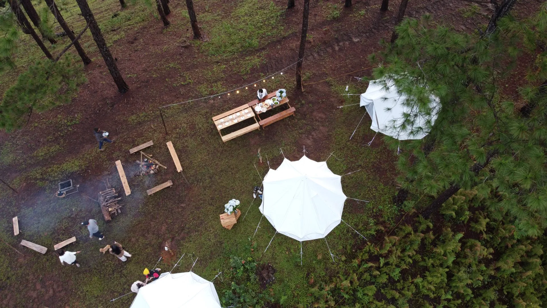 twin-beans-farm-mang-den-trai-nghiem-luu-tru-giua-doi-che-va-suoi-ngan-thanh-binh-the-nao