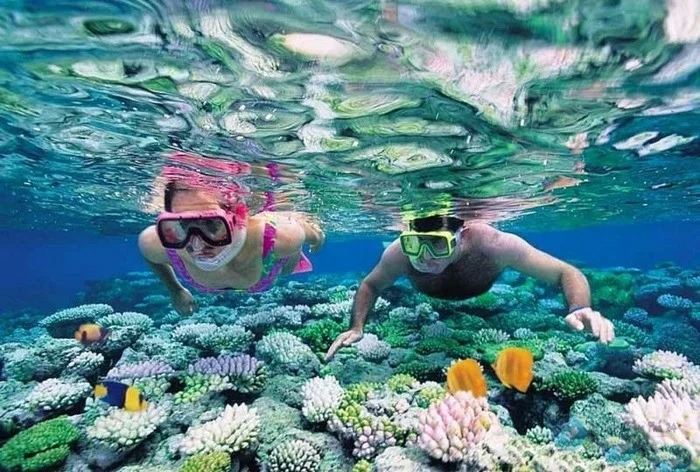 Lan-ngam-san-ho-Snorkeling-tai-khu-bao-ton-bien-loi