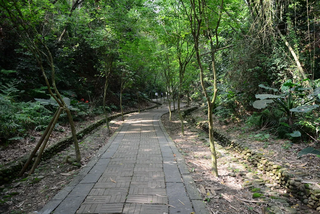 con-duong-tung-va-rung-truc-ngan-nam--hanh-trinh-cua-hoi-tho