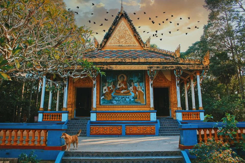 60903-tham-quan-chua-doi