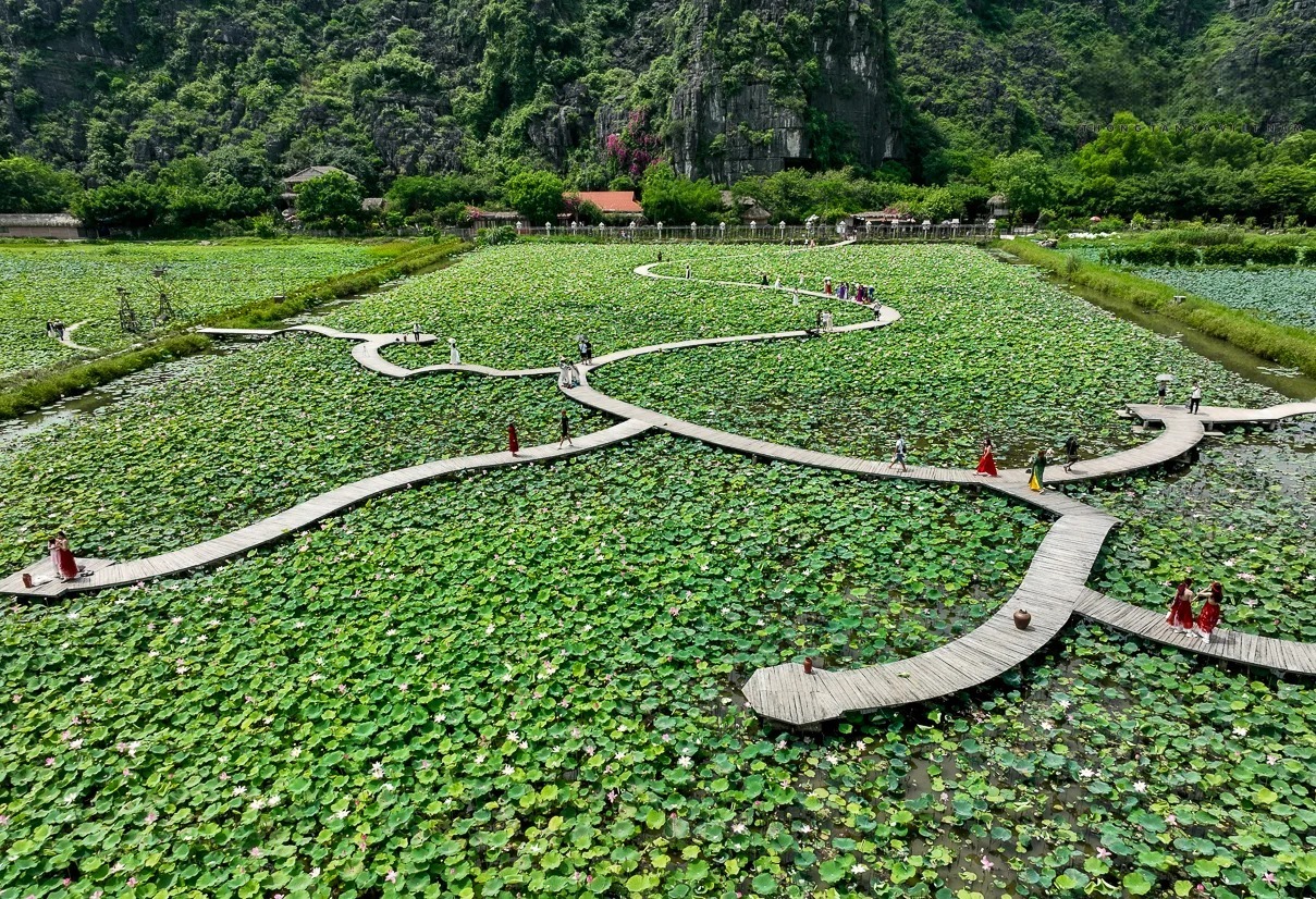 6h00-7h00-Khai-thac-thoi-diem-vang-tai-ho-sen-hinh-trai-tim-1